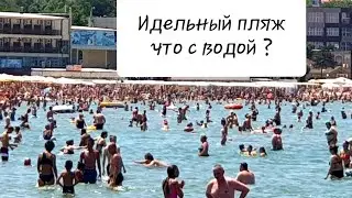 АНАПА 19.06.2019 ЦЕНТРАЛЬНЫЙ ПЛЯЖ  На Анапке Голубы Дали Янтарь