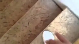 Tour my house!