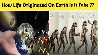 Theroy Of Evolution | How Life Originated On Earth | Fact, Story, Science