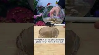 Irrigation water recipe from banana peel  #gardening #agriculture #farming