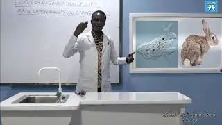 LRLO 14   Advantages of Life at Cellular Level over Complex Level