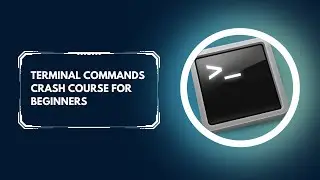 Terminal Commands Crash Course for Beginners | Essential Command Line Basics
