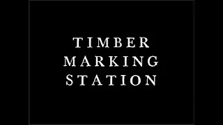 Timberpeg Production - Timber Marking Station 720