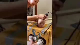 Апа бала