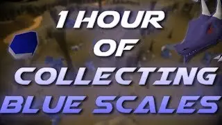 Collecting Blue Scales | Testing OSRS Wiki Money Making Guides