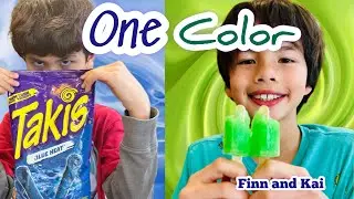 TWIN challenge!! Eating only ONE color FOOD for 26 hours 😋🤩#twin #challenge #funny #subscribe