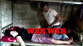 Wik wik Dengan Cewek Pemabok