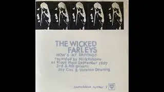The Wicked Farleys / The Vehicle Birth 7" Split (1999)