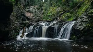 JEMEZ | Lumix S1