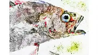 "Poissons" Béatrice Dor