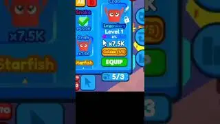 BUGS XD✓ 
