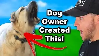 How You've Made Your Dog Leash Reactive -Dog Training Video
