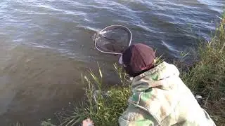 Свободу