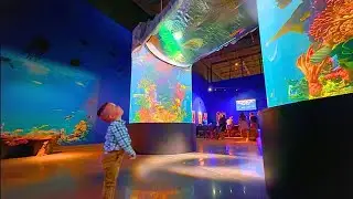 Florida’s Newest Aquarium