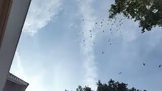 Вечерний полёт, часть 2