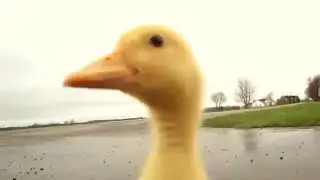 Make my way downtown