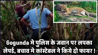 Udaipur के Gogunda मे Police पर लपका Leopard, बचाव मे कांस्टेबल ने किये दो फायर !