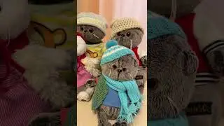 Басики собрались гулять на улицу. 