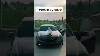 9 сентября 2022 г.