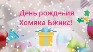 День рождения моего хомяка! Что я ему подарила? Хомячок Вжик!/🐹Хомо Шоу🐹/