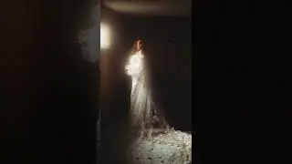 Why You Don't Need An Expensive Camera! 📸