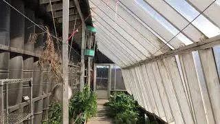 Got any Ideas to extend this  Greenhouse?  (partly underground / snow)