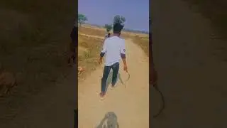 din bhar mahent ke bad😂#shortsfeed #youtube #gasolina #raiding #youtubeshorts #shortsfeed #shorts