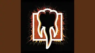 D.S.M.