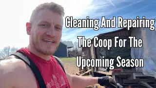 Spring Cleaning The Chicken Coop!