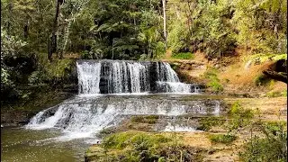 Omeru Waterfalls Scenic Reserve, Kaipara Coast, New Zealand