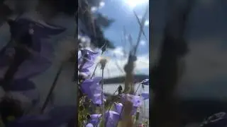 Норвегия Влог. Природа Норвегии