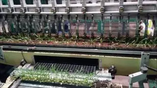 PlugPlanter 24S Servo Driven Transplanter 4