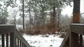 Jazz Song with Feb. 19th Snow