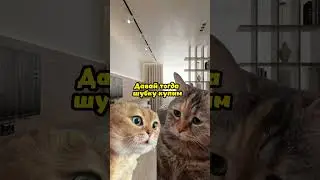 Намек 😂