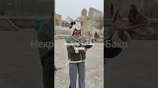 В некрополе Чор Бакр кормим голубей
