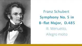 Franz Schubert, Symphony No. 5 in B-flat Major, D.485 - III. Menuetto, Allegro molto