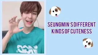【STRAY KIDS 승민】 昇玟尼的各種可愛