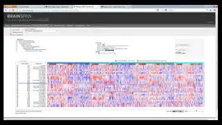 Webinar: Using the Allen Brain Atlas resources (October 2012)