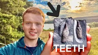 Jurassic COAST Fossil Hunting + Ichthyosaur Teeth! | Fossil Hunter