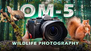 OM System OM-5 for Wildlife Photography