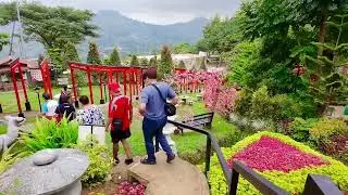 CEBU ADVENTURE: LITTLE KYOTO | FLY WITH NEO