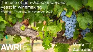 The use of non-Saccharomyces yeast in winemaking