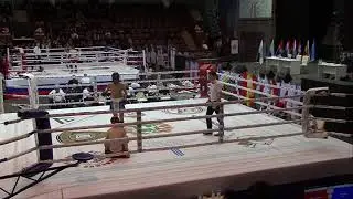 ЧиП Росси 2018, лоу-кик, Томск, Артём Штырков, полуфинал