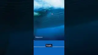 Patreon Preview: Finding Nemo