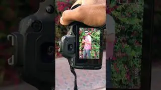 Canon camera manually photo shoot #photoshoot #canon #camera #result #photography #ytshorts #fypシ
