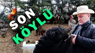 MEGAKENTTE SON KÖYLÜ