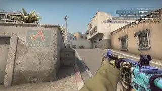 FPL Bootcamp & Pugs