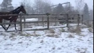 Det snöar