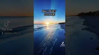 Близнец и жизнь