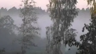 2015. Gads fotoattēlos